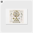 アートポストカード-The Artificial or Oblique Armillary Sphere - アンティーク地図 Postcard.