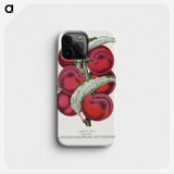 1-87_Botanical-Specimen-Plates_phone