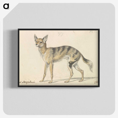 1-87_Charles-Hamilton-Smith_blk-crop