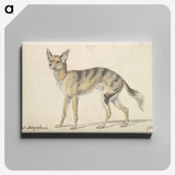 1-87_Charles-Hamilton-Smith_canvas