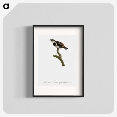 1-87_Des-Oiseaux-de-Paradis_blk