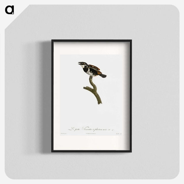 1-87_Des-Oiseaux-de-Paradis_blk
