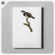 1-87_Des-Oiseaux-de-Paradis_canvas