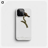 1-87_Des-Oiseaux-de-Paradis_phone