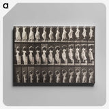 1-87_Eadweard-Muybridge_canvas