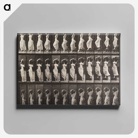 1-87_Eadweard-Muybridge_canvas