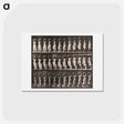 アートポストカード-Woman Descending Staircase
 - エドワード マイブリッジ Postcard.