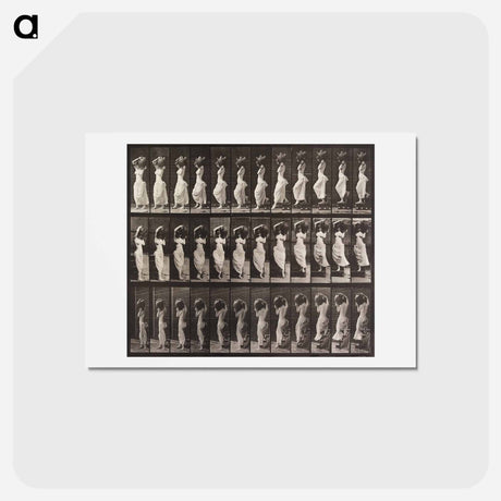 アートポストカード-Woman Descending Staircase
 - エドワード マイブリッジ Postcard.