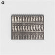 1-87_Eadweard-Muybridge_memo