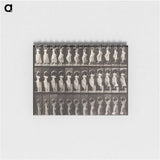 1-87_Eadweard-Muybridge_memo