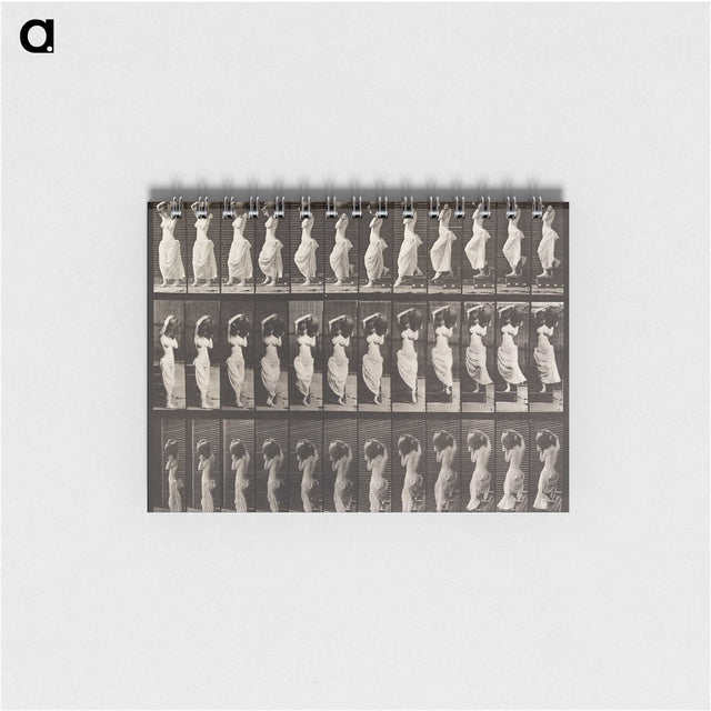 1-87_Eadweard-Muybridge_memo