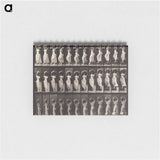 アートメモ帳-Woman Descending Staircase
 - エドワード マイブリッジ Memo.