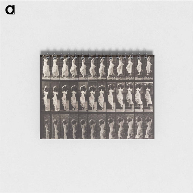 アートメモ帳-Woman Descending Staircase
 - エドワード マイブリッジ Memo.