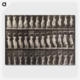 1-87_Eadweard-Muybridge_picture-crop