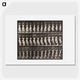 1-87_Eadweard-Muybridge_picture