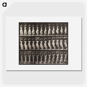 1-87_Eadweard-Muybridge_picture