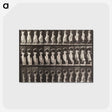 1-87_Eadweard-Muybridge_postcard