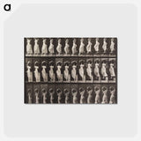 アートポストカード-Woman Descending Staircase
 - エドワード マイブリッジ Postcard.