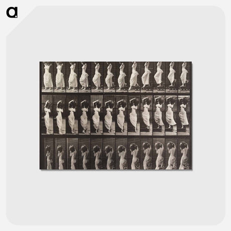 アートポストカード-Woman Descending Staircase
 - エドワード マイブリッジ Postcard.