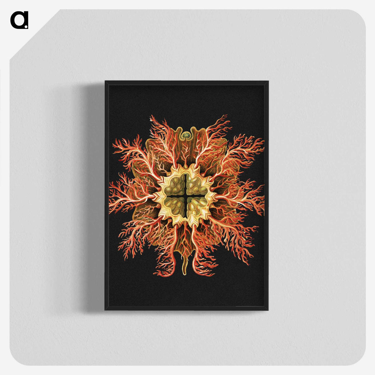 1-87_Ernst-Haeckel_blk-crop