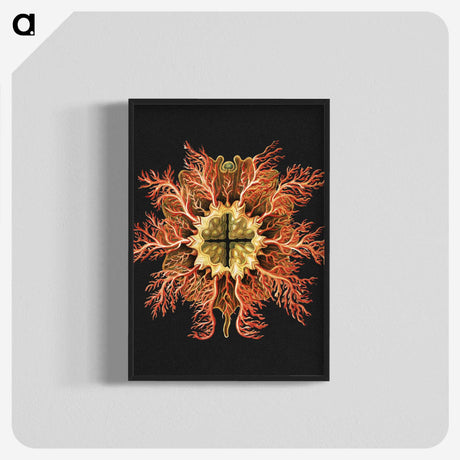 1-87_Ernst-Haeckel_blk-crop