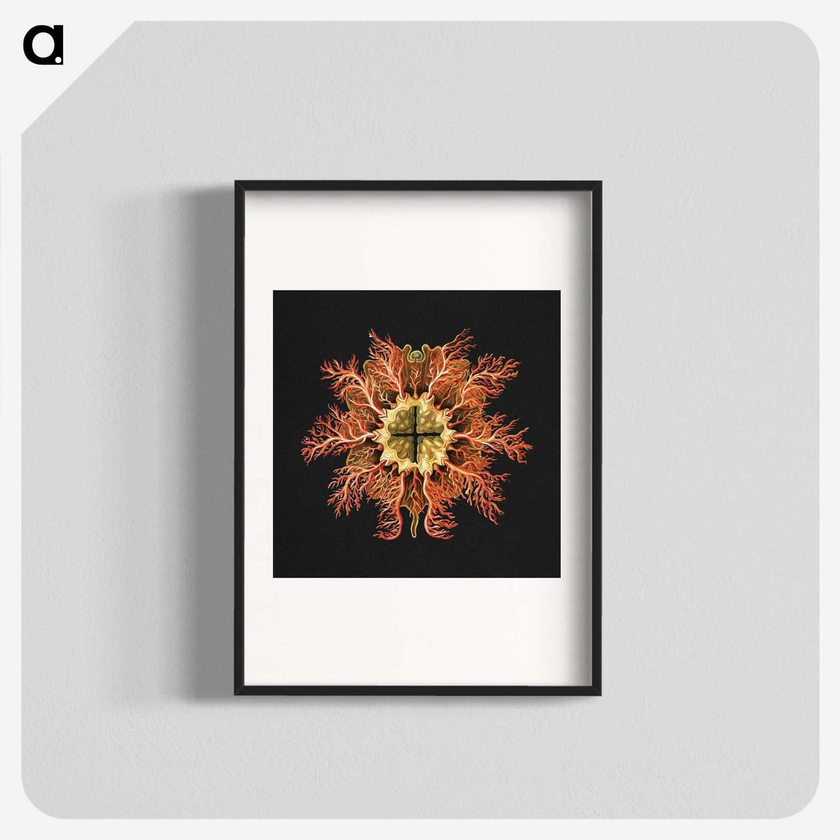 1-87_Ernst-Haeckel_blk
