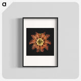 1-87_Ernst-Haeckel_blk