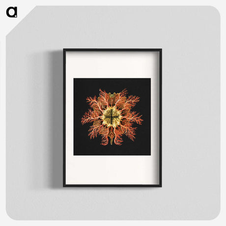 1-87_Ernst-Haeckel_blk