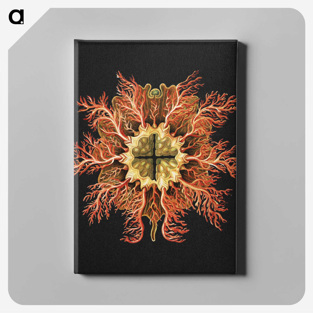 1-87_Ernst-Haeckel_canvas