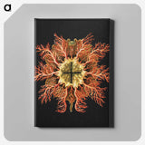 1-87_Ernst-Haeckel_canvas