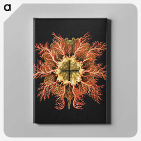 1-87_Ernst-Haeckel_canvas