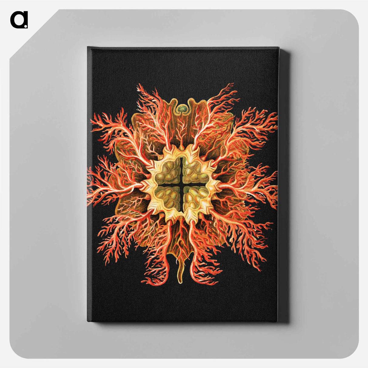 Colorful vintage tunicate marine life illustration - エルンスト ヘッケル Canvas.