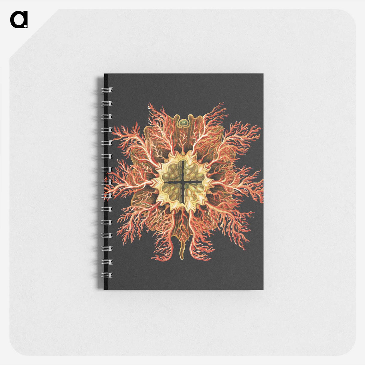 1-87_Ernst-Haeckel_memo