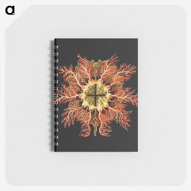 1-87_Ernst-Haeckel_memo