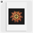 1-87_Ernst-Haeckel_picture