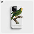 1-87_Francois-Levaillant_phone