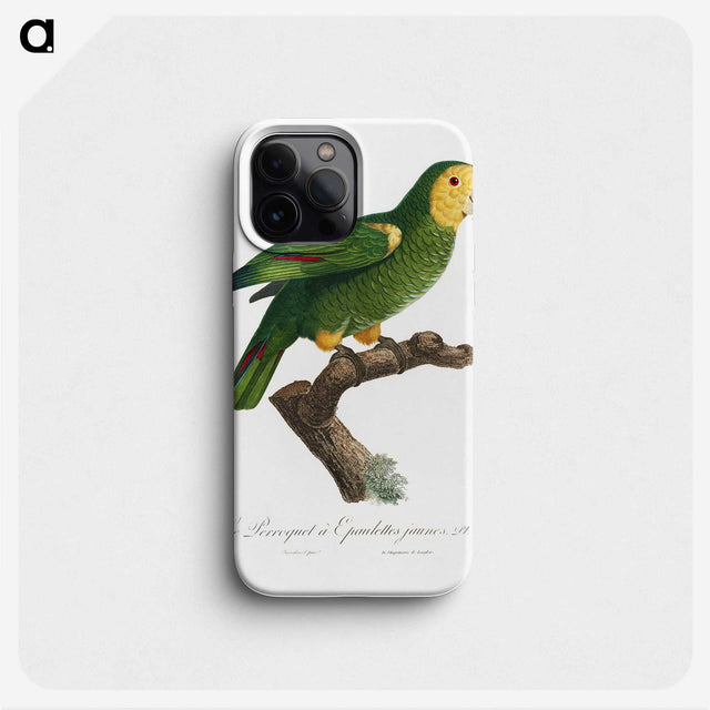 1-87_Francois-Levaillant_phone