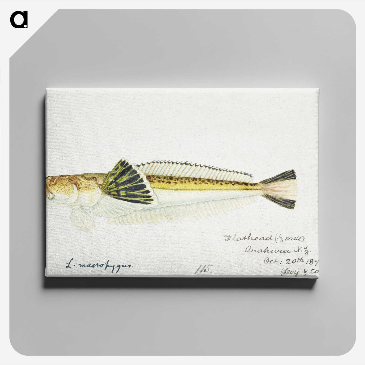 1-87_Frank-Edward-Clarke_canvas