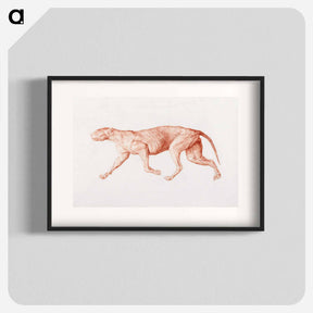 アートポスター-Leopard Body, Lateral View
 - ジョージ スタッブス Poster.