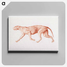 アートパネル-Leopard Body, Lateral View
 - ジョージ スタッブス Canvas.
