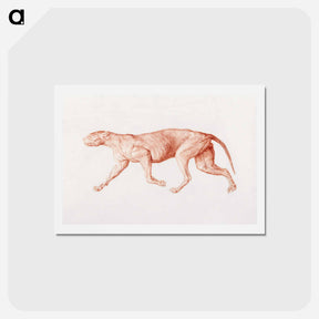 アートポストカード-Leopard Body, Lateral View
 - ジョージ スタッブス Postcard.
