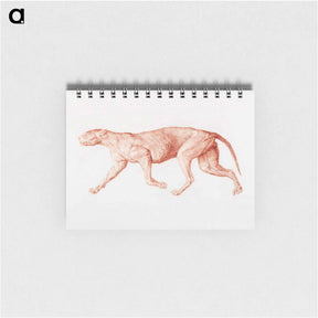 アートメモ帳-Leopard Body, Lateral View
 - ジョージ スタッブス Memo.