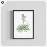 1-87_Histoire-des-Plantes-Grasses_blk-crop