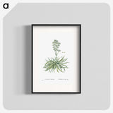 1-87_Histoire-des-Plantes-Grasses_blk
