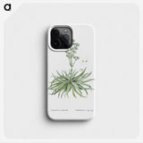 1-87_Histoire-des-Plantes-Grasses_phone