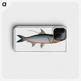 1-87_Ichtyologie-ou-Histoire-naturelle_phone