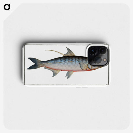 1-87_Ichtyologie-ou-Histoire-naturelle_phone