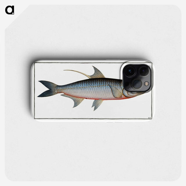 1-87_Ichtyologie-ou-Histoire-naturelle_phone