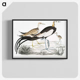 1-87_Indian-Zoology_blk-crop