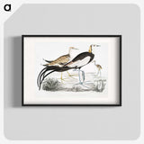 1-87_Indian-Zoology_blk